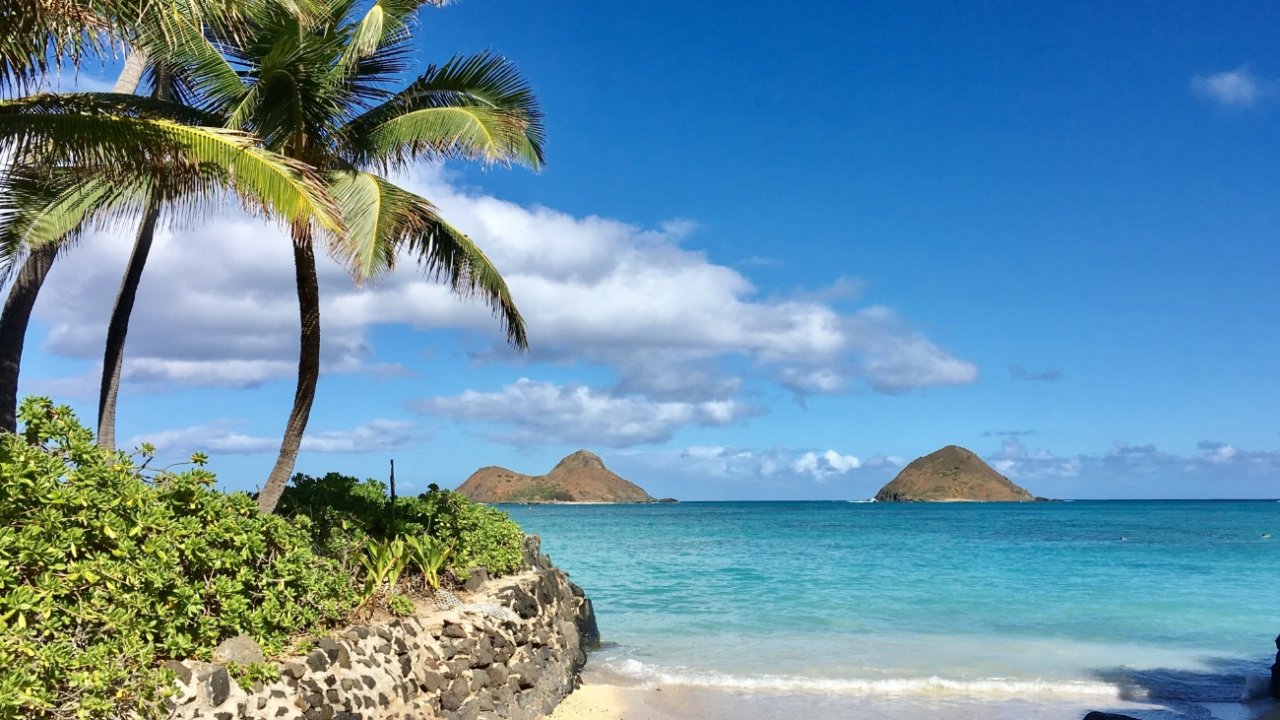ハワイのラニカイビーチはまさに天国の海 行き方や周辺スポット 子供と一緒に楽しくハワイ旅行したい